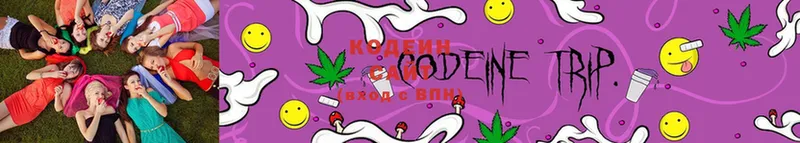 кракен как зайти  Муром  Codein Purple Drank  где найти  